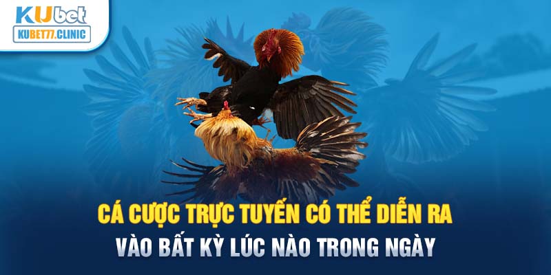 Cá cược trực tuyến có thể diễn ra vào bất kỳ lúc nào trong ngày