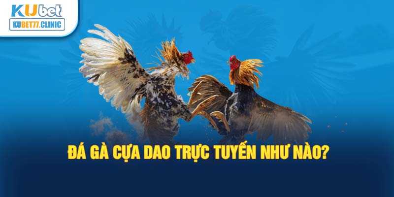 Đá gà cựa dao trực tuyến như nào?