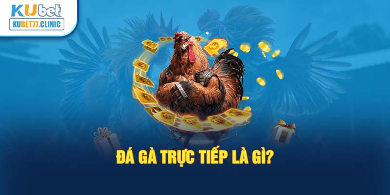 Đá gà trực tiếp là gì?