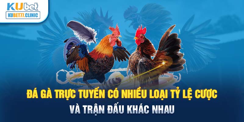 Đá gà trực tuyến có nhiều loại tỷ lệ cược và trận đấu khác nhau