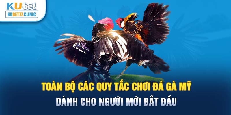 Toàn bộ các quy tắc chơi đá gà Mỹ dành cho người mới bắt đầu